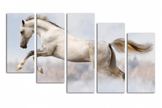 Модульная картина Белая лошадь